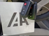 Miniaturka zdjęcia 11