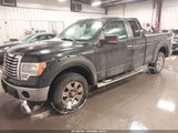 Ford F-150 Stx/Xl/Xlt 1FTEX1E89AFD42017 photo