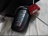 Miniaturka zdjęcia 11