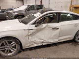 Miniaturka zdjęcia 6