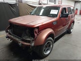 Dodge Nitro Slt/Rt 1D8GT58K47W527458 снимка