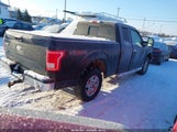 Ford F-150 Xlt 1FTFX1EF4HFB08042 fotografie