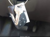 Miniaturka zdjęcia 11