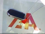 Miniaturka zdjęcia 11