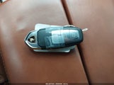 Miniaturka zdjęcia 11