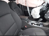Miniaturka zdjęcia 5