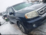 Honda Pilot Ex-L 5FNYF4H52AB024683 fotografie