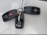 Miniaturka zdjęcia 11
