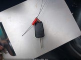 Miniaturka zdjęcia 11
