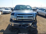 Ford F-150 Xlt 1FTEX1CM7DFB31631 снимка