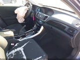 Miniaturka zdjęcia 5
