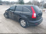 Honda Cr-V Lx 5J6RE3H33AL032685 снимка