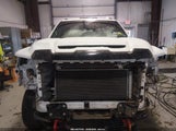 GMC Sierra 3500Hd At4 1GT49VE79RF164481 photo
