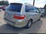 Honda Odyssey Ex-L 5FNRL38637B461178 снимка