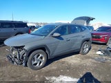 Hyundai Tucson Se 5NMJA3DE9RH314204 снимка