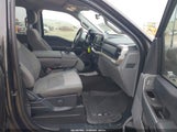 Ford F-150 Xlt 1FTEW1CB3MKE23561 снимка
