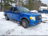 Ford F-150 Fx4/Lariat/Xl/Xlt 1FTPX14V29FA99260 photo