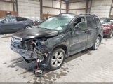 Miniaturka zdjęcia 2