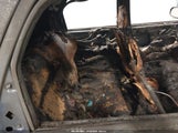Ford Escape Xlt 1FMYU041X2KB12754 снимка