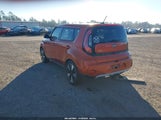 Miniaturka zdjęcia 3
