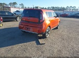 Miniaturka zdjęcia 4