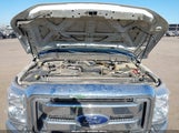 Ford F-350 Xlt 1FT8W3DT1FED01511 снимка