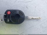 Miniaturka zdjęcia 11