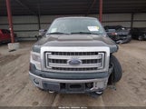 Ford F-150 Xlt 1FTFW1EF3EKE38759 снимка