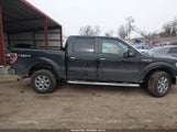 Ford F-150 Xlt 1FTFW1EF3EKE38759 снимка