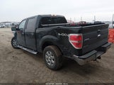 Ford F-150 Xlt 1FTFW1EF3EKE38759 снимка