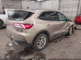 Ford Escape Se 1FMCU9G62MUA94876 снимка
