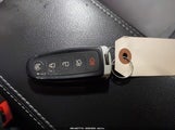 Miniaturka zdjęcia 11