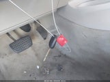 Miniaturka zdjęcia 11