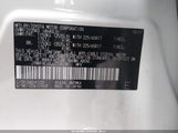 Miniaturka zdjęcia 9