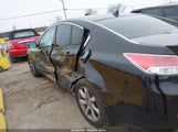 Miniaturka zdjęcia 6