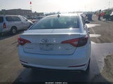 Hyundai Sonata Sport 5NPE34AF1GH382754 fotografie