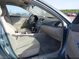 Miniaturka zdjęcia 5
