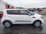 Kia Soul + KNDJT2A65D7548356 fotografie