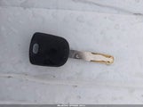 Miniaturka zdjęcia 11