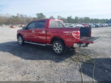 Ford F-150 Xlt 1FTFW1EFXDFD99319 снимка