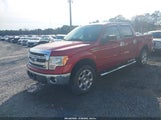 Ford F-150 Xlt 1FTFW1EFXDFD99319 снимка