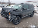 Jeep Renegade Trailhawk ZACCJBCT6FPB46336 снимка