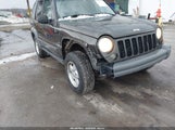 Jeep Liberty Sport 1J4GL48K65W670461 fotografie