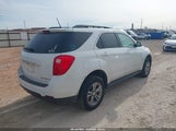 Chevrolet Equinox 1Lt 2GNALBEK9E6270769 снимка