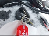Miniaturka zdjęcia 11
