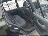 Miniaturka zdjęcia 8