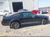 Ford Mustang V6 1ZVFT80NX65239883 снимка