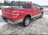 Ford F-150 Xl/Xlt 1FTEW1E82AFD22081 снимка