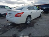 Nissan Maxima 3.5 Sv 1N4AA5AP6AC816193 снимка