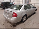 Chevrolet Malibu Ls 1G1ZT54855F284038 снимка